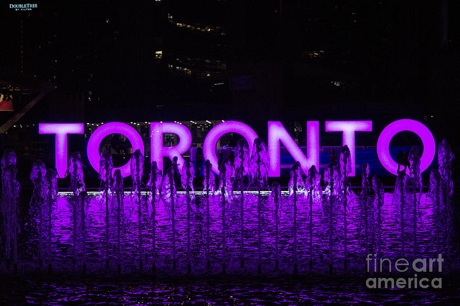 Purple Toronto Sign Photograph