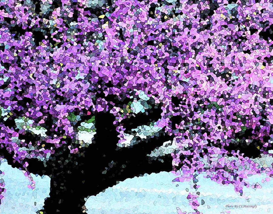 Purple Tree Photograph by Coke Mattingly