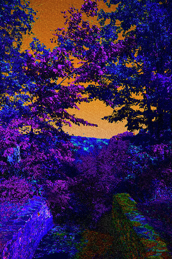 Purple Trees Digital Art by David Stasiak
