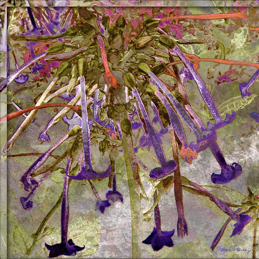 Purple Trumpets Digital Art by Barbara Berney