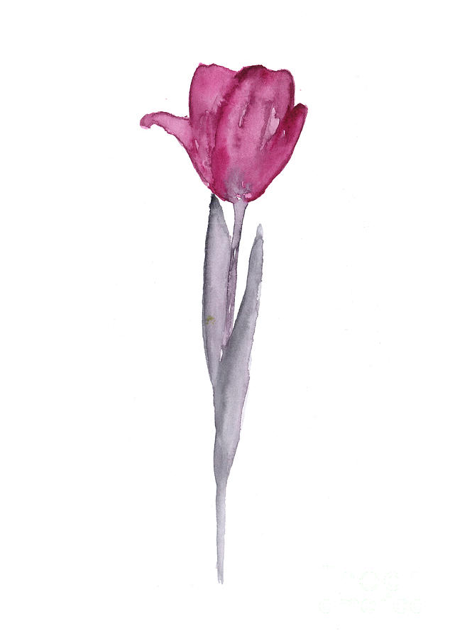 Tulip Painting - Purple tulip botanical artwork poster by Joanna Szmerdt