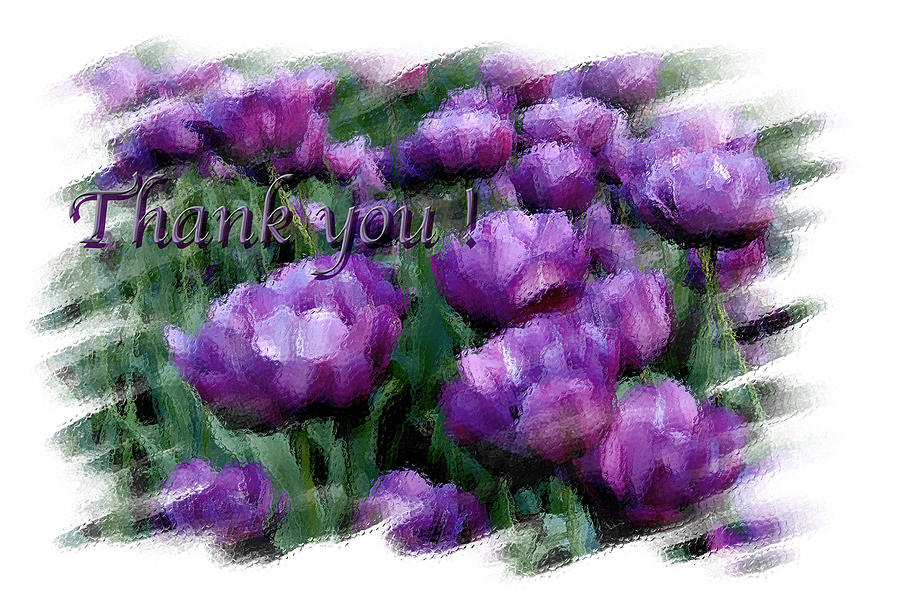 Tulip Photograph - Purple Tulip Thank You by Lyle  Huisken