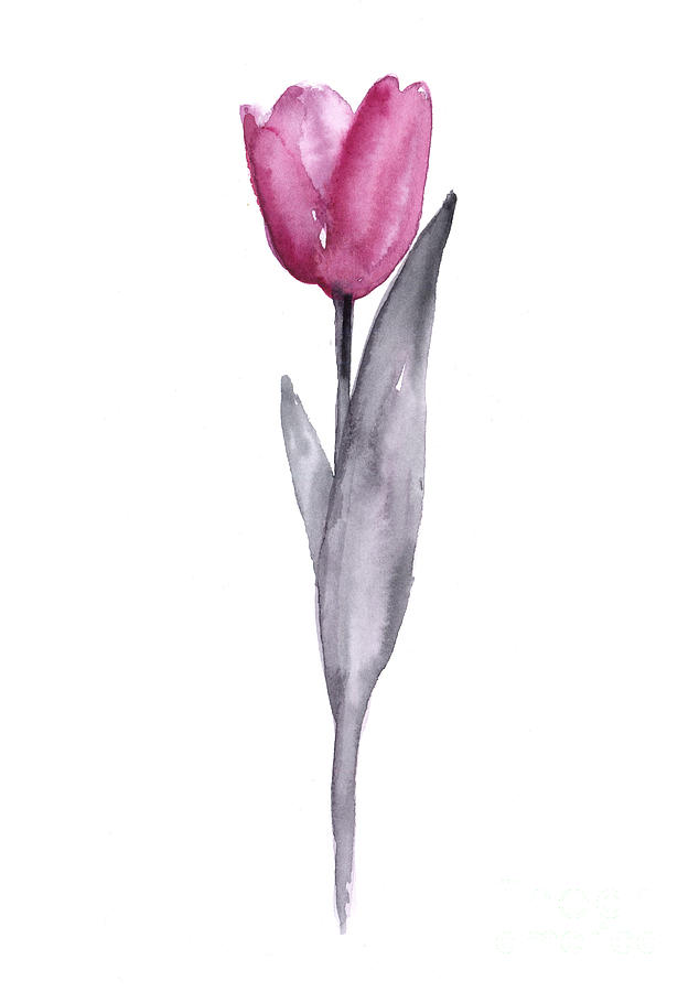 Tulip Painting - Purple tulip watercolor art print painting by Joanna Szmerdt