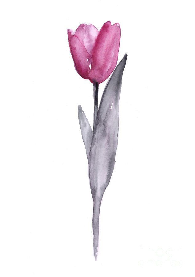 https://images.fineartamerica.com/images/artworkimages/mediumlarge/1/purple-tulip-watercolor-art-print-painting-joanna-szmerdt.jpg