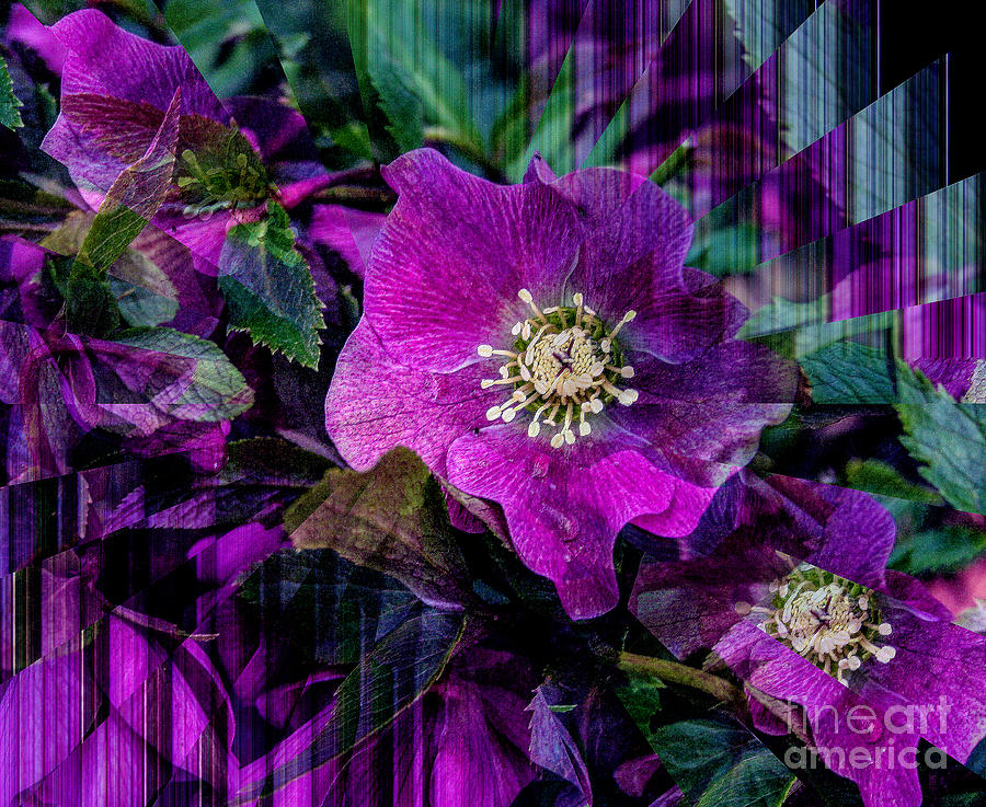 Abstract Digital Art - Purple TuTu by Warren Kasow