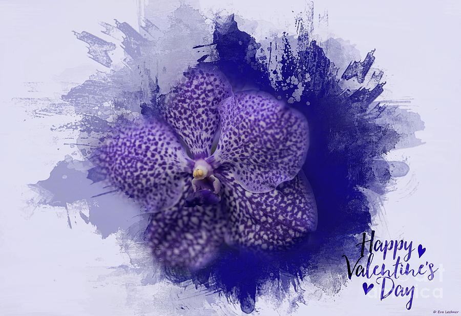 Orchid Photograph - Purple Vanda by Eva Lechner