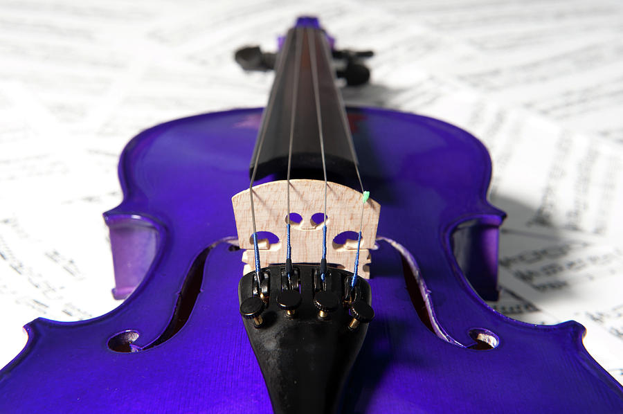 Purple Violin and Music ix Photograph by Helen Jackson