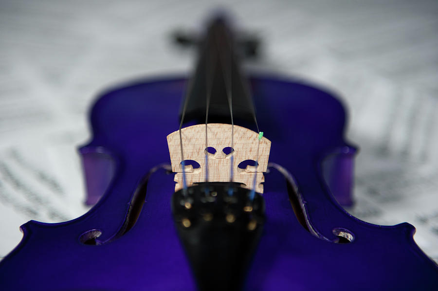 Purple Violin Bridge Photograph