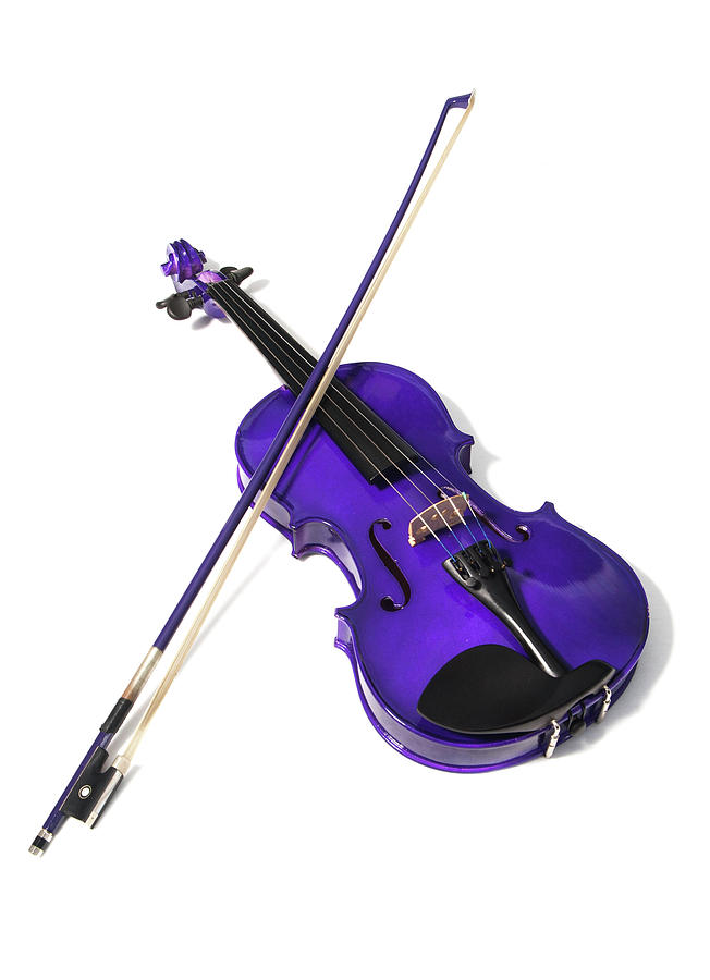 Purple Violin Photograph by Helen Jackson