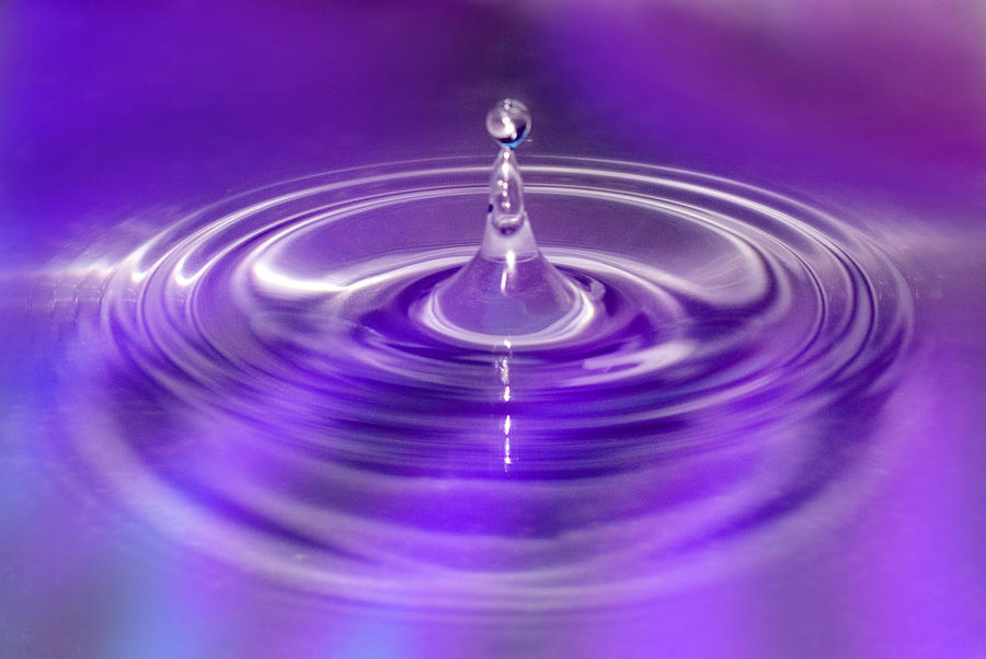 Purple Water Drop Photograph