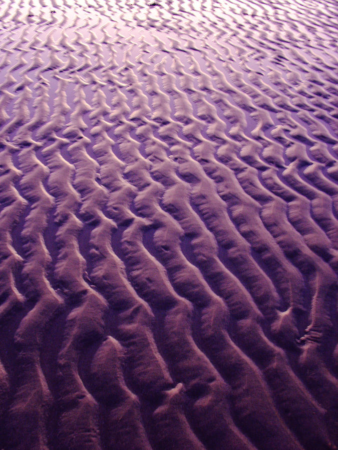 Purple Waves of Sand Photograph by Jill Reger