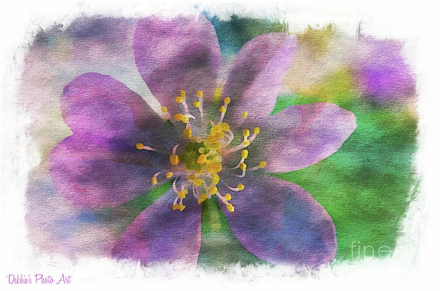 Purple Wildflower - Digital Effect Photograph by Debbie Portwood