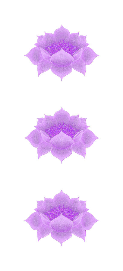 Purple Lotus pattern by Elizabeth Lock Purple Lotus pattern by Elizabeth Lock