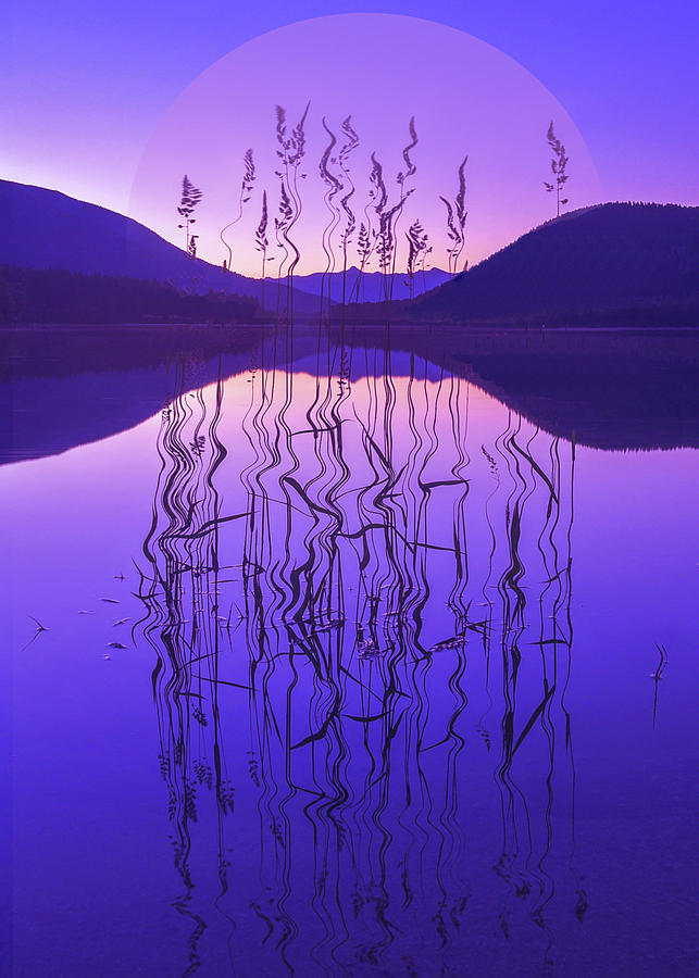 Purple Zen Digital Art by Joy McAdams
