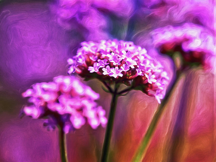 Purpling Digital Art by Doctor MEHTA Purpling Digital Art by Doctor MEHTA