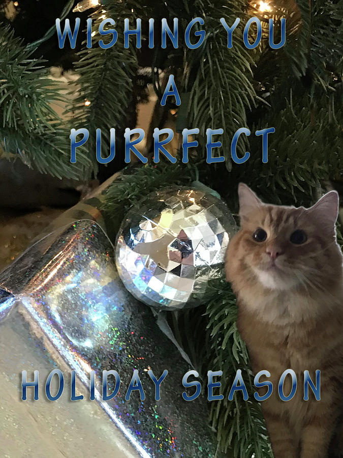 Purrfect Holiday by Karen Zuk Rosenblatt Purrfect Holiday by Karen Zuk Rosenblatt