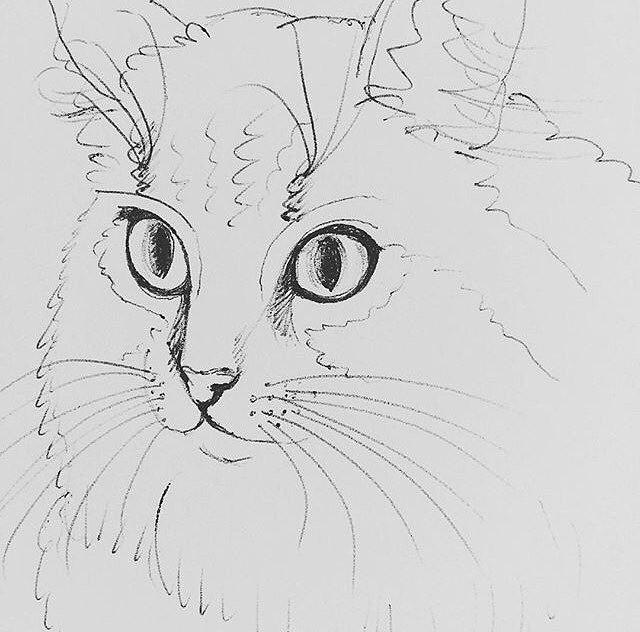 Purrfect Kitty Drawing