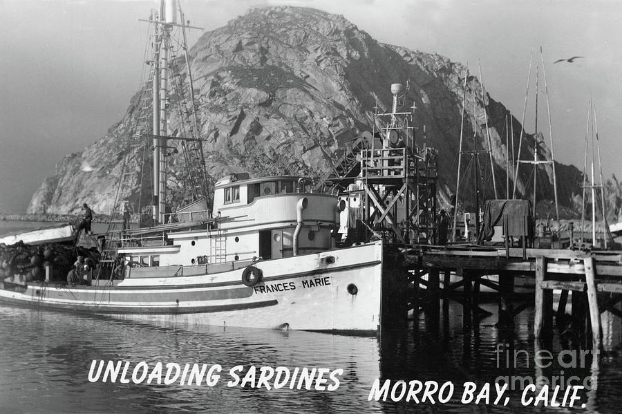 Unloading Photograph - Purse seiner Frances Marie unloading Sardines at Morro Bay, Calif. 1950 by Monterey County Historical Society