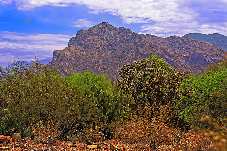 Mountain Photograph - Pusch Ridge Morning h10 by Mark Myhaver