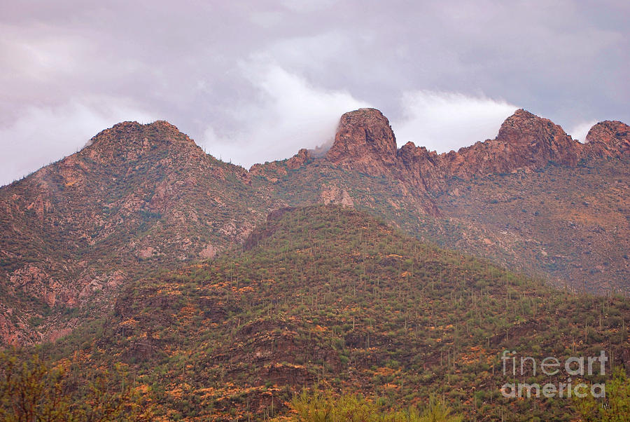 Pusch Ridge Tucson Arizona Photograph by Donna Greene