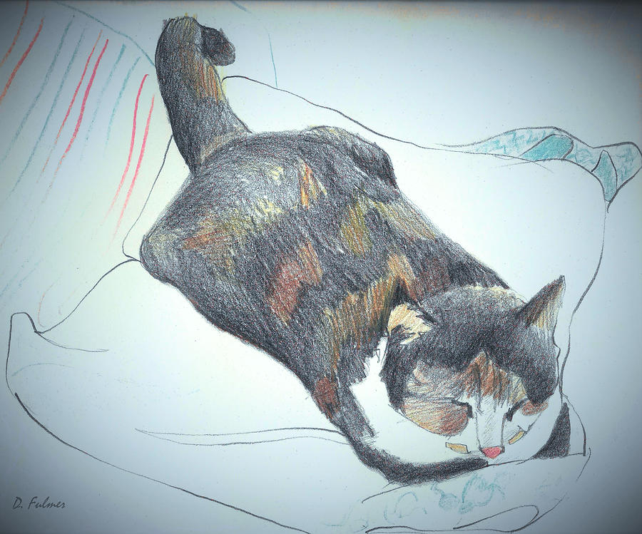 Puss In Boots Sleeping Drawing by Denise F Fulmer