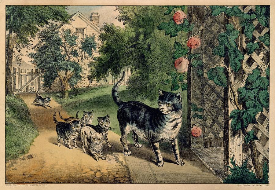 Pussy  Return  Currier  Ives American active New York 18571907 Painting by Celestial Images