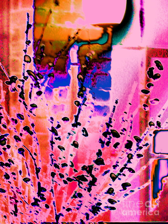 Pussy Willows Spring sign Digital Art by Priscilla Batzell Expressionist Art Studio Gallery