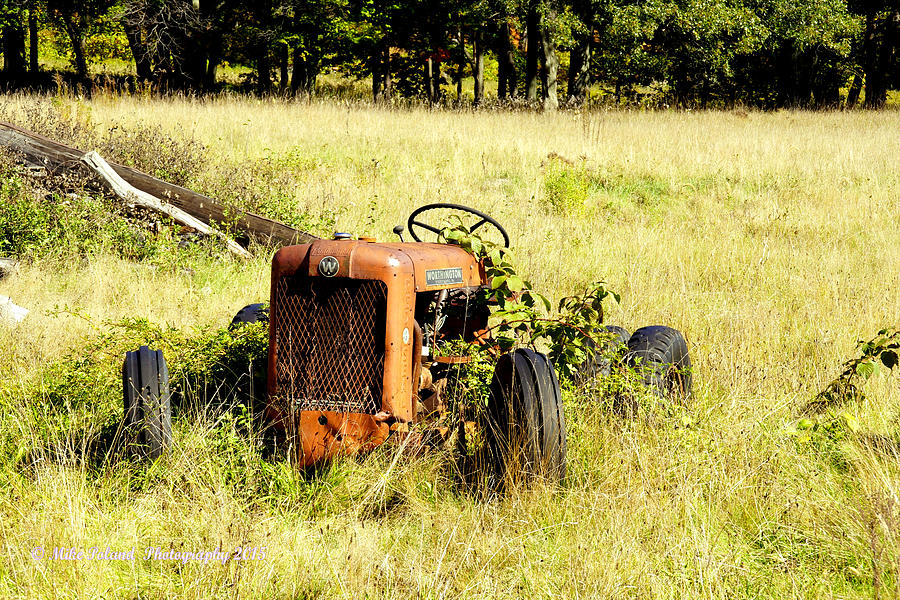 Put out to pasture II Photograph by Mike Poland - Pixels