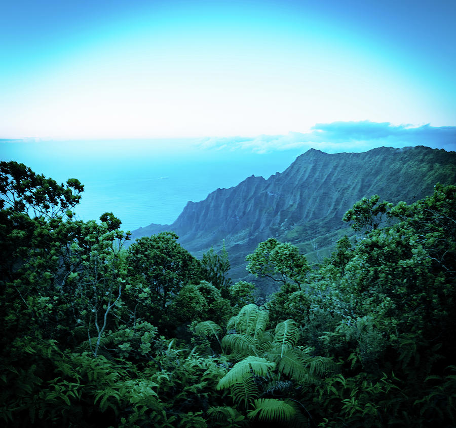 Puu O Kila Lookout, Kauai, HI by T Brian Jones Puu O Kila Lookout, Kauai, HI by T Brian Jones