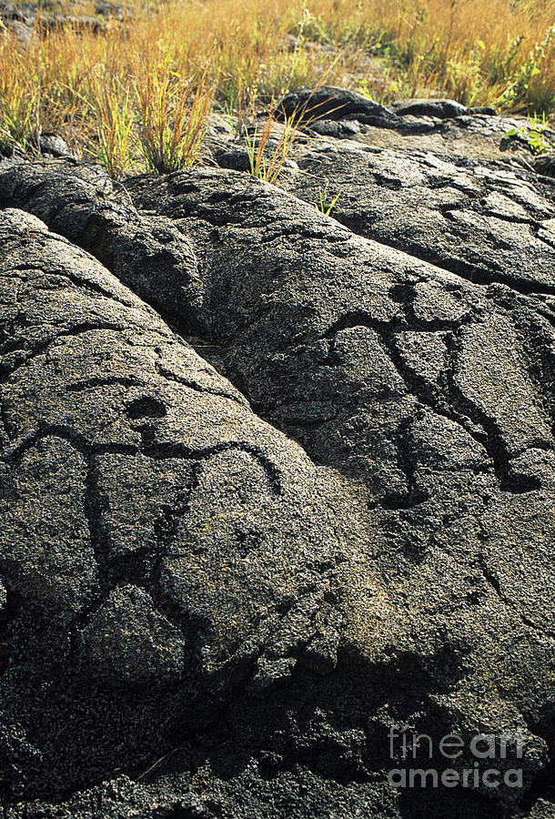 Puuloa Petroglyphs Photograph by Greg Vaughn - Printscapes