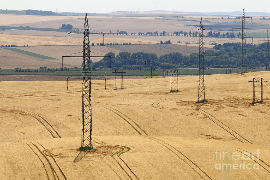 Pylons in the fields Photograph by Michal Boubin