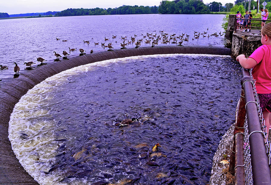 Pymatuning Spillway 002 Photograph by George Bostian