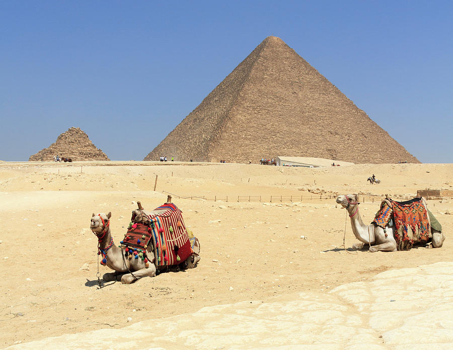 Architecture Photograph - Pyramids of Giza by Silvia Bruno