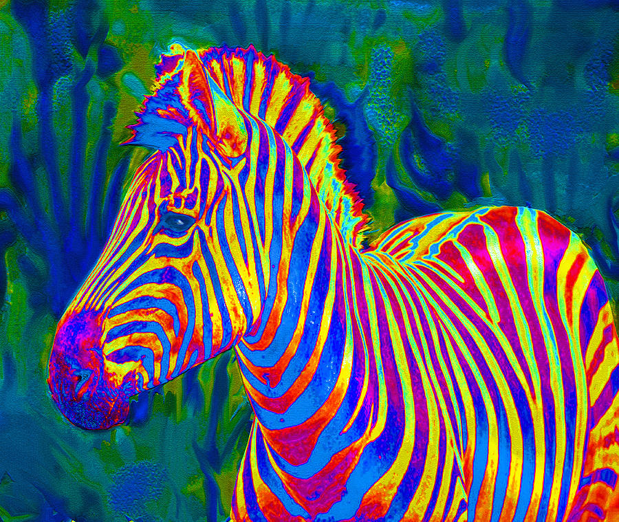 Zebra Digital Art - Pyschedelic Zebra by Jane Schnetlage