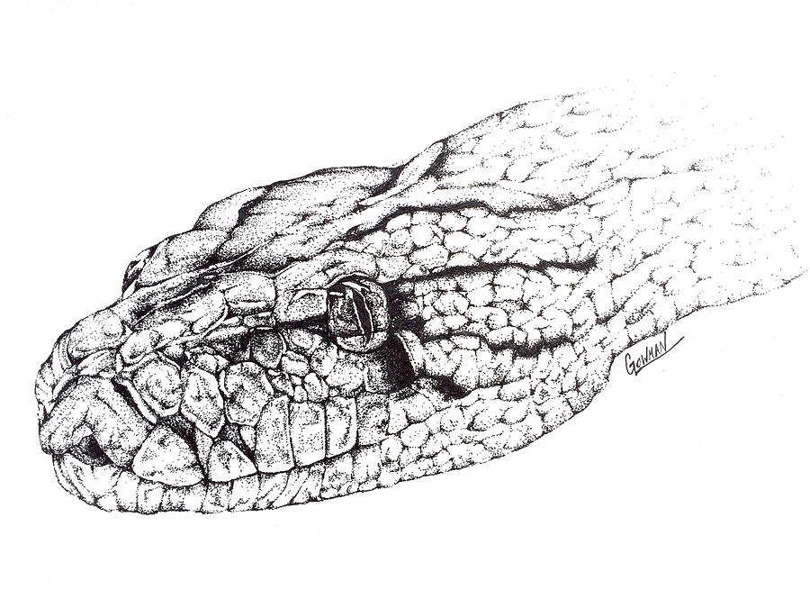 Нарисовать рисунок python