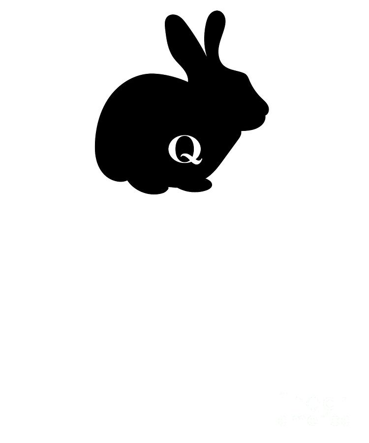 T Shirts Q Anon Black T Shirt Wwg1wga United States Flag Qanon The White Rabbit Planoxproducoes Com Br