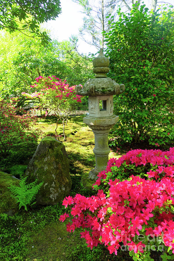 Spring in Japanese Garden  Photograph by Anastasy Yarmolovich