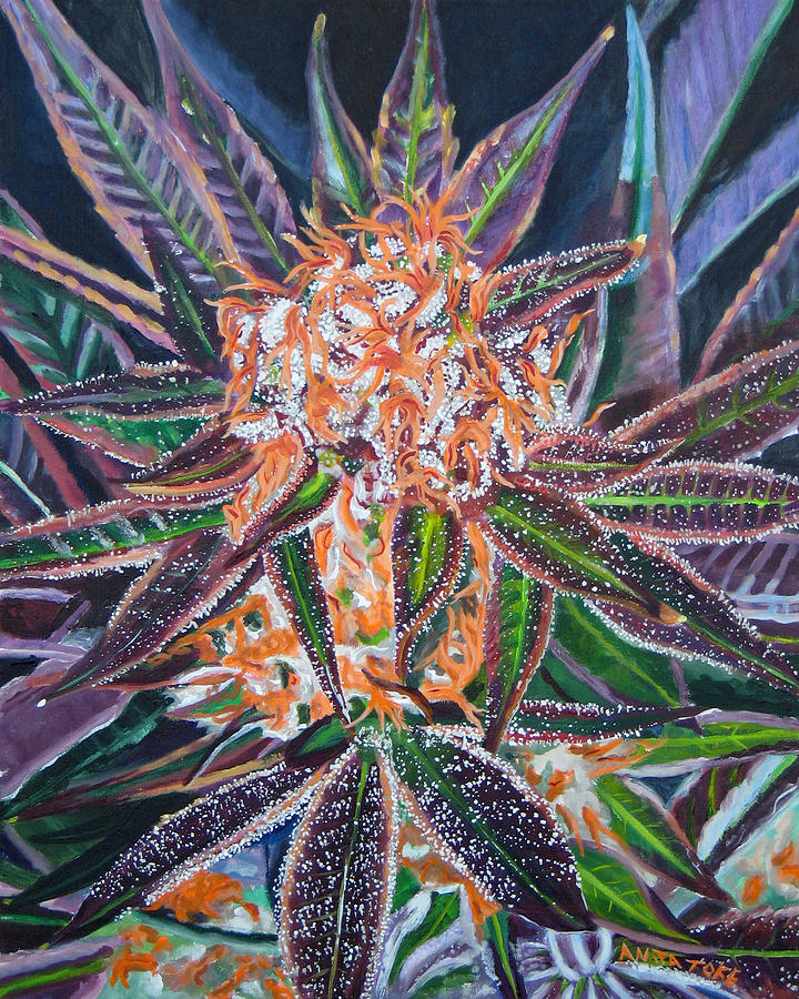 Pot Painting - Qrazy Train - Cannabis Bud by Anita Toke