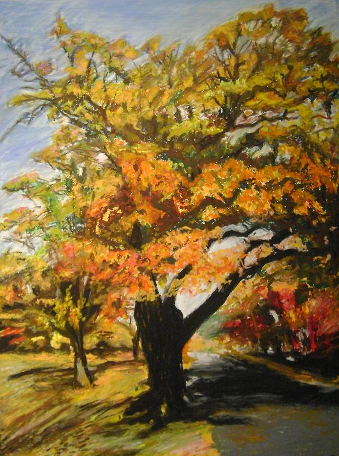 Quabbin Tree Pastel by Therese Legere