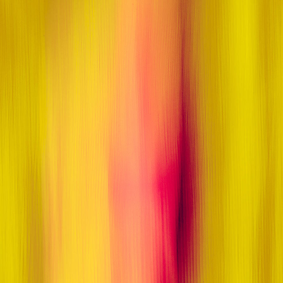 Abstract Photograph - Quadro 02 by Mikhail Tormakov