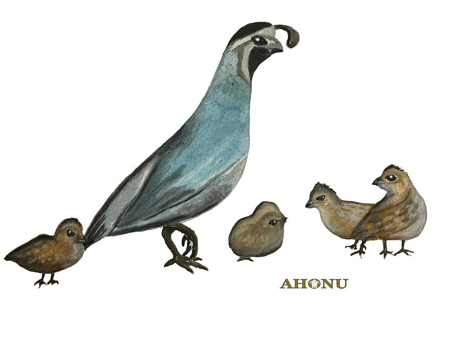 Quail Family Painting by AHONU Aingeal Rose