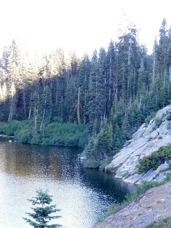 Quail Lake Photograph by Craig Camp