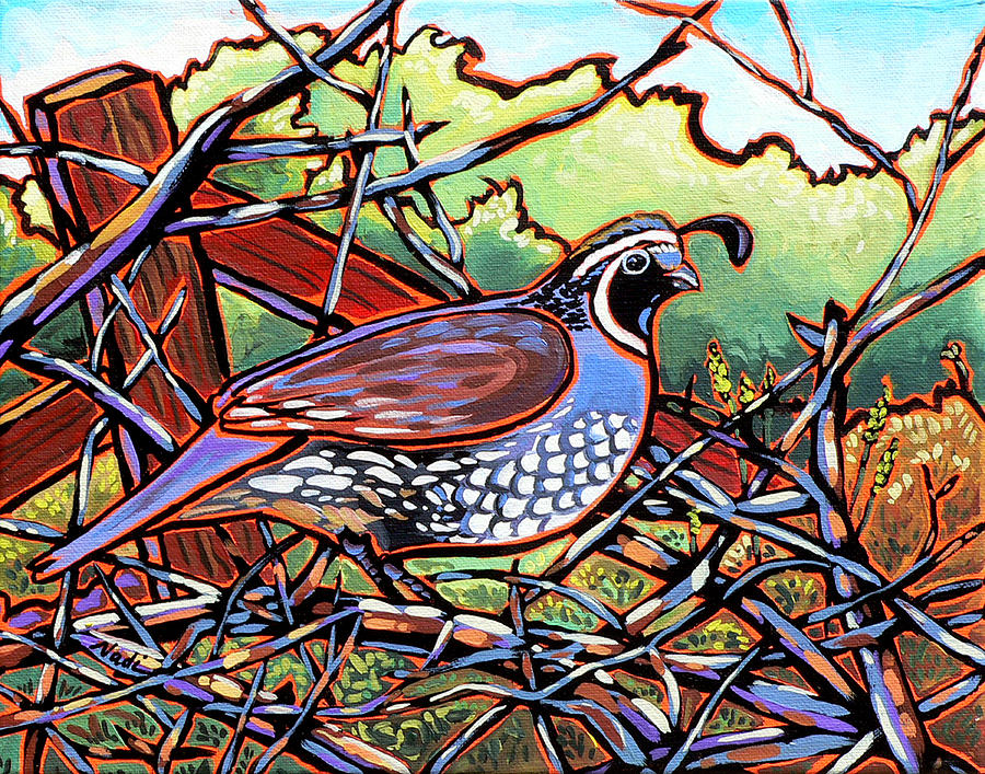 Bird Painting - Quail by Nadi Spencer