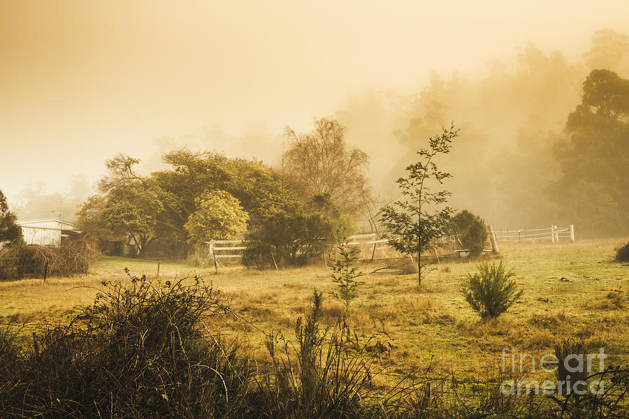 Quaint countryside scene of Glen Huon Photograph by Jorgo Photography