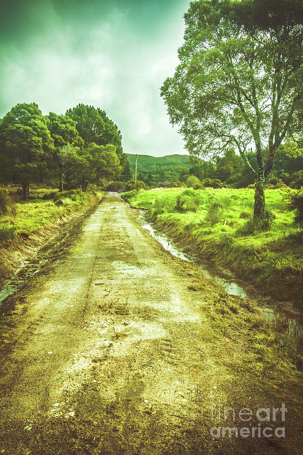 Quaint Tasmanian Dirt Road Landscape Photograph by Jorgo Photography