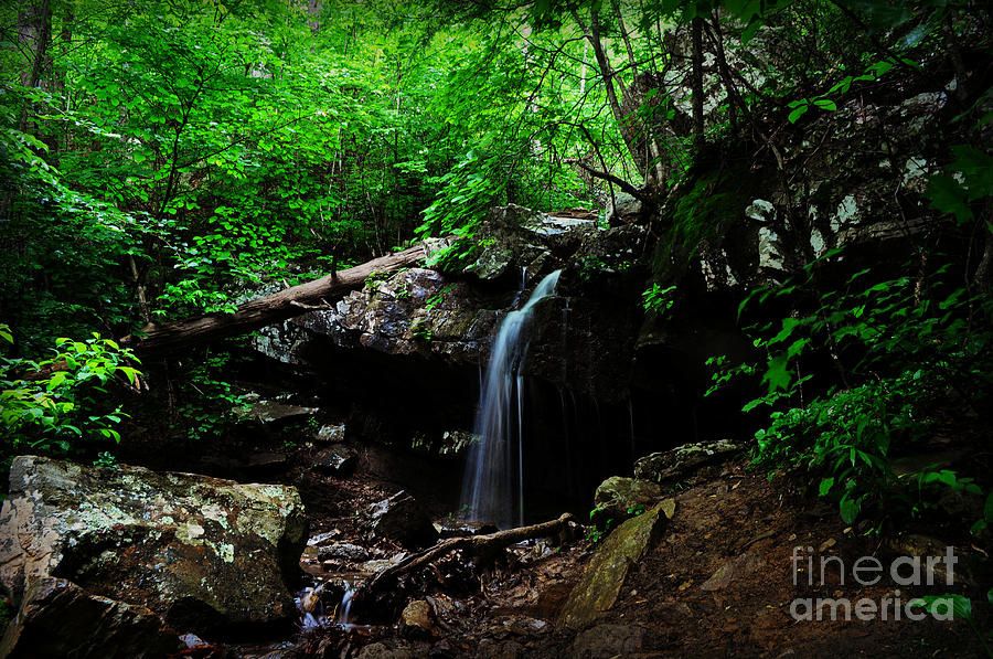 Quaint Waterfall Photograph by Eric Liller