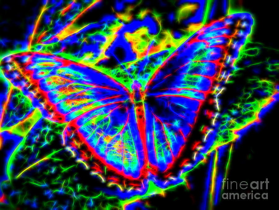 Quantum Butterfly Digital Art by Kasia Bitner