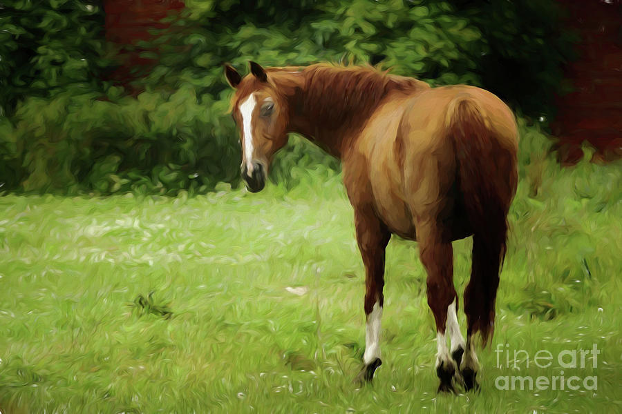 Quarter Horse Painting by Eva Sawyer