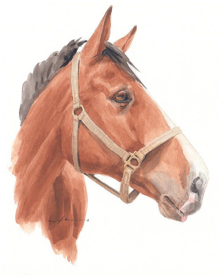 Quarter Horse Face Watercolor Portrait Drawing by Mike Theuer Pixels