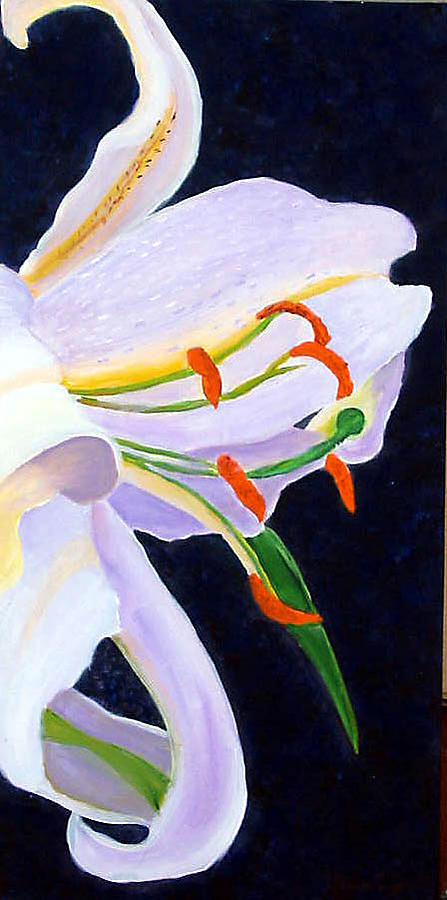 Flowers Still Life Painting - Quarter Lily by Marcia Paige